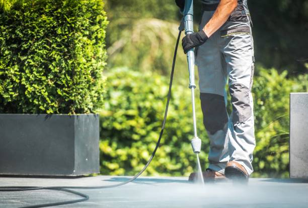 Best Sign and Awning Cleaning  in Lino Lakes, MN