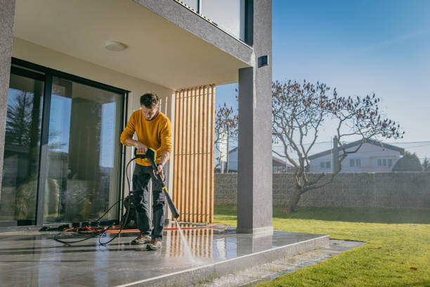 Best Solar Panel Cleaning  in Lino Lakes, MN